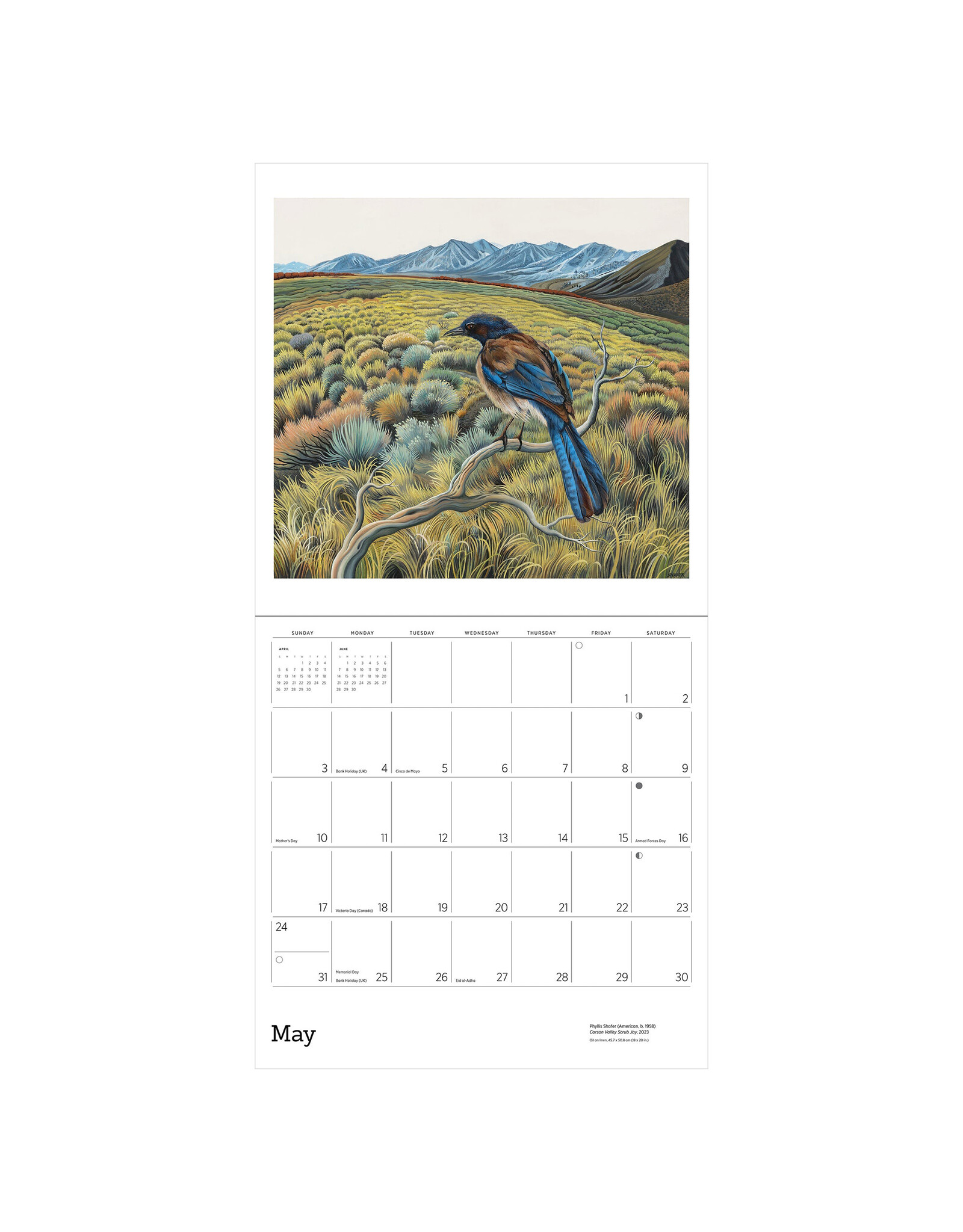 Pomegranate Phyllis Shafer: Nature Divine 2026 Wall Calendar