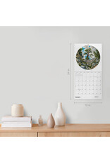 Pomegranate Phyllis Shafer: Nature Divine 2026 Wall Calendar