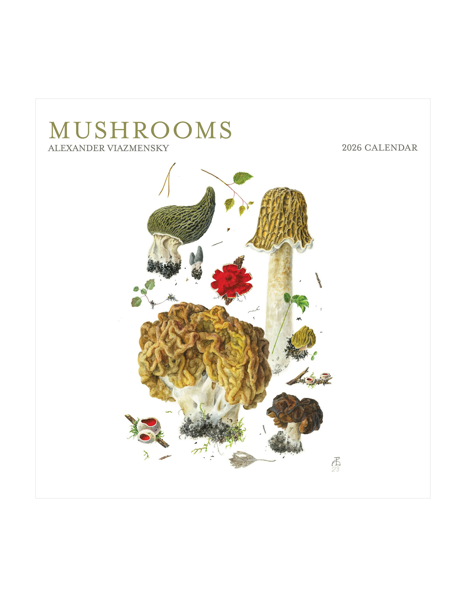 Pomegranate Mushrooms: Alexander Viazmensky 2026 Wall Calendar