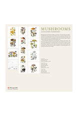 Pomegranate Mushrooms: Alexander Viazmensky 2026 Wall Calendar