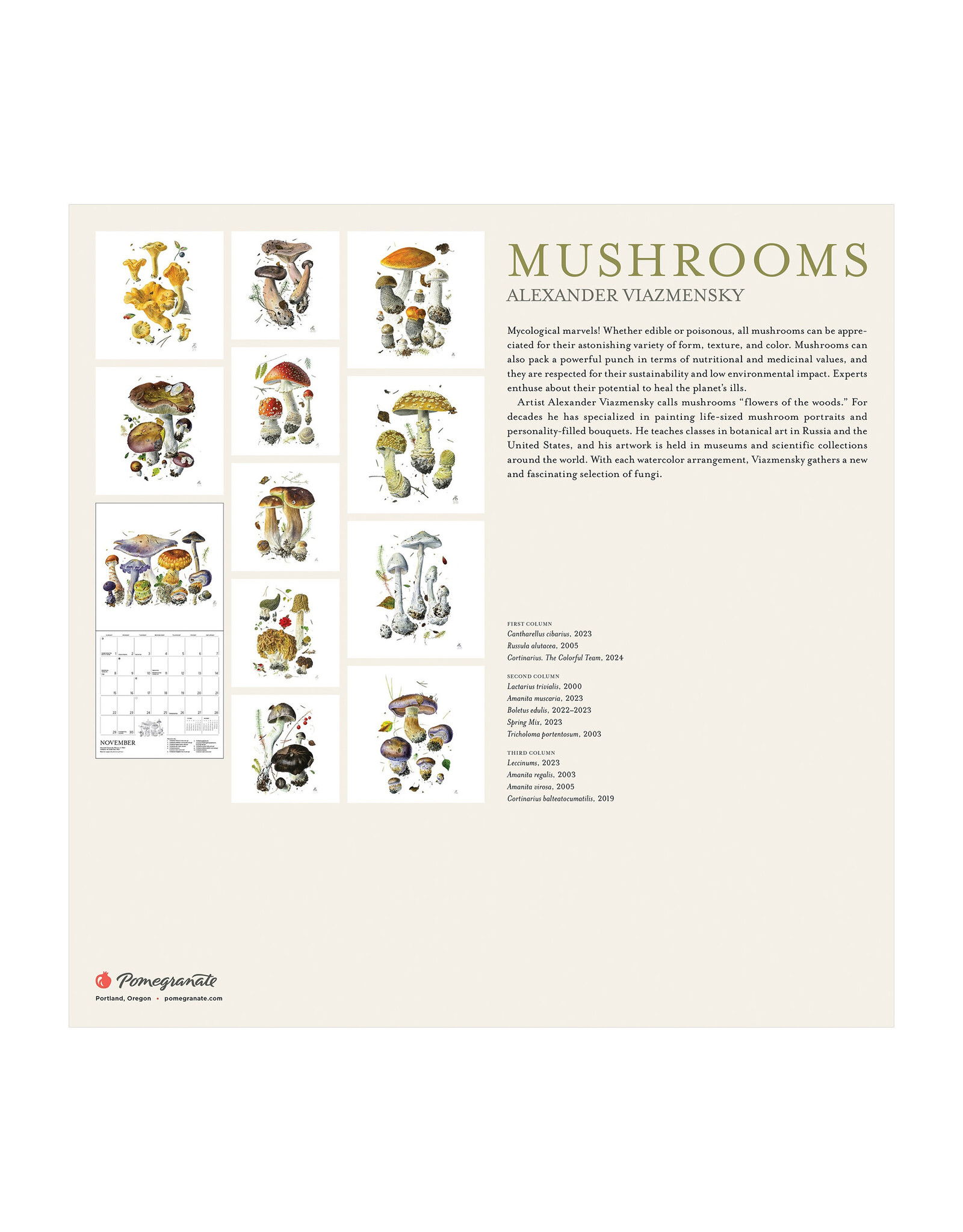 Pomegranate Mushrooms: Alexander Viazmensky 2026 Wall Calendar