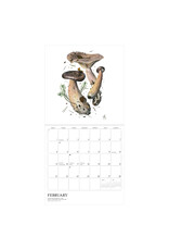 Pomegranate Mushrooms: Alexander Viazmensky 2026 Wall Calendar