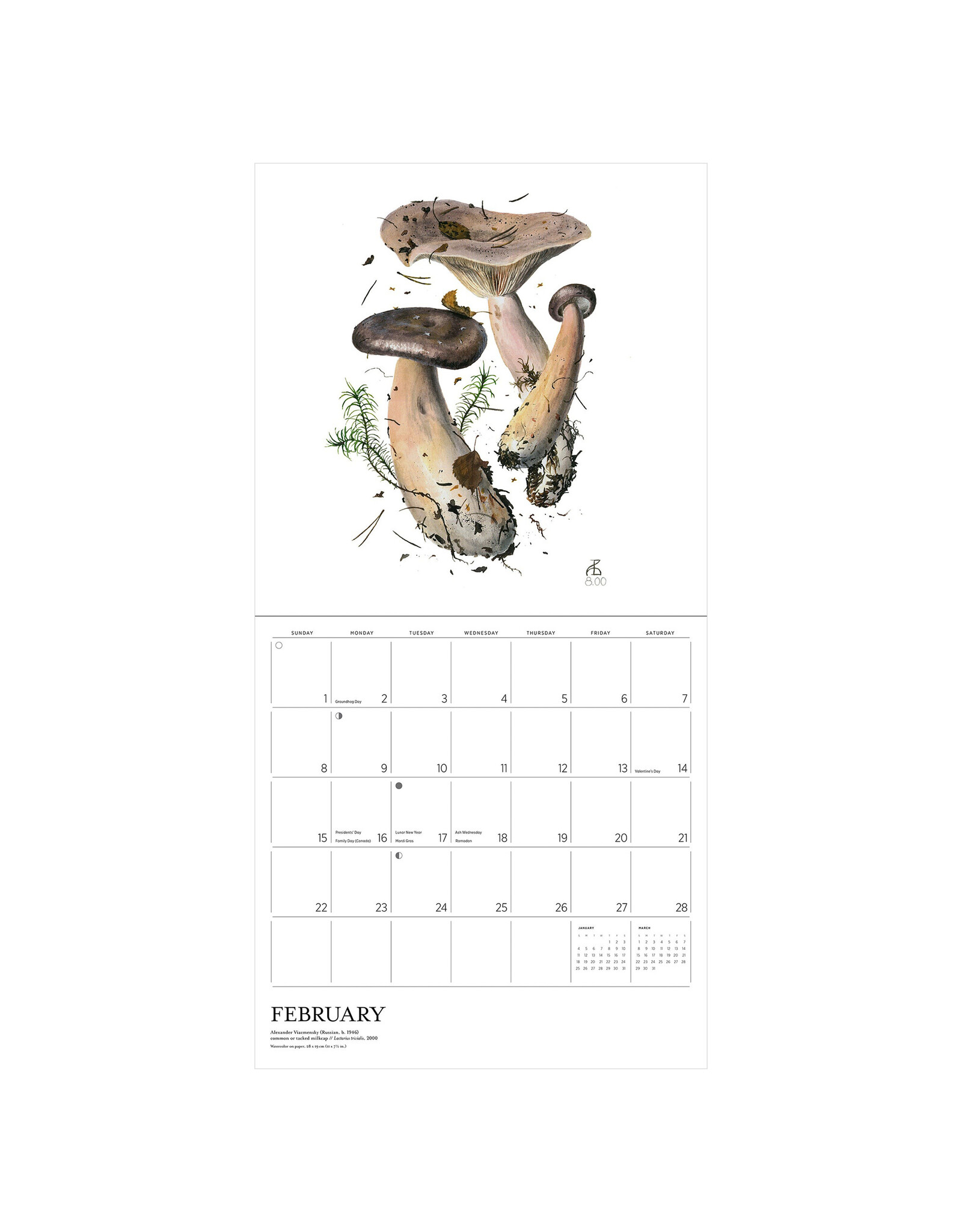 Pomegranate Mushrooms: Alexander Viazmensky 2026 Wall Calendar