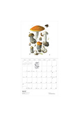 Pomegranate Mushrooms: Alexander Viazmensky 2026 Wall Calendar