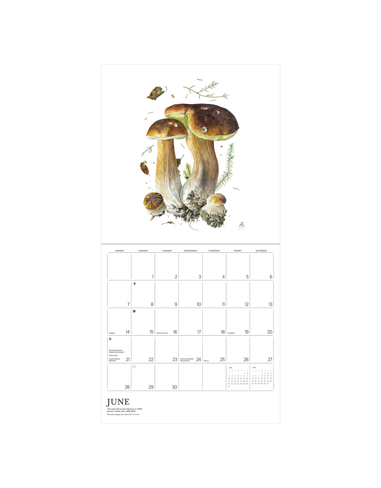 Pomegranate Mushrooms: Alexander Viazmensky 2026 Wall Calendar