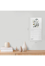Pomegranate Mushrooms: Alexander Viazmensky 2026 Wall Calendar