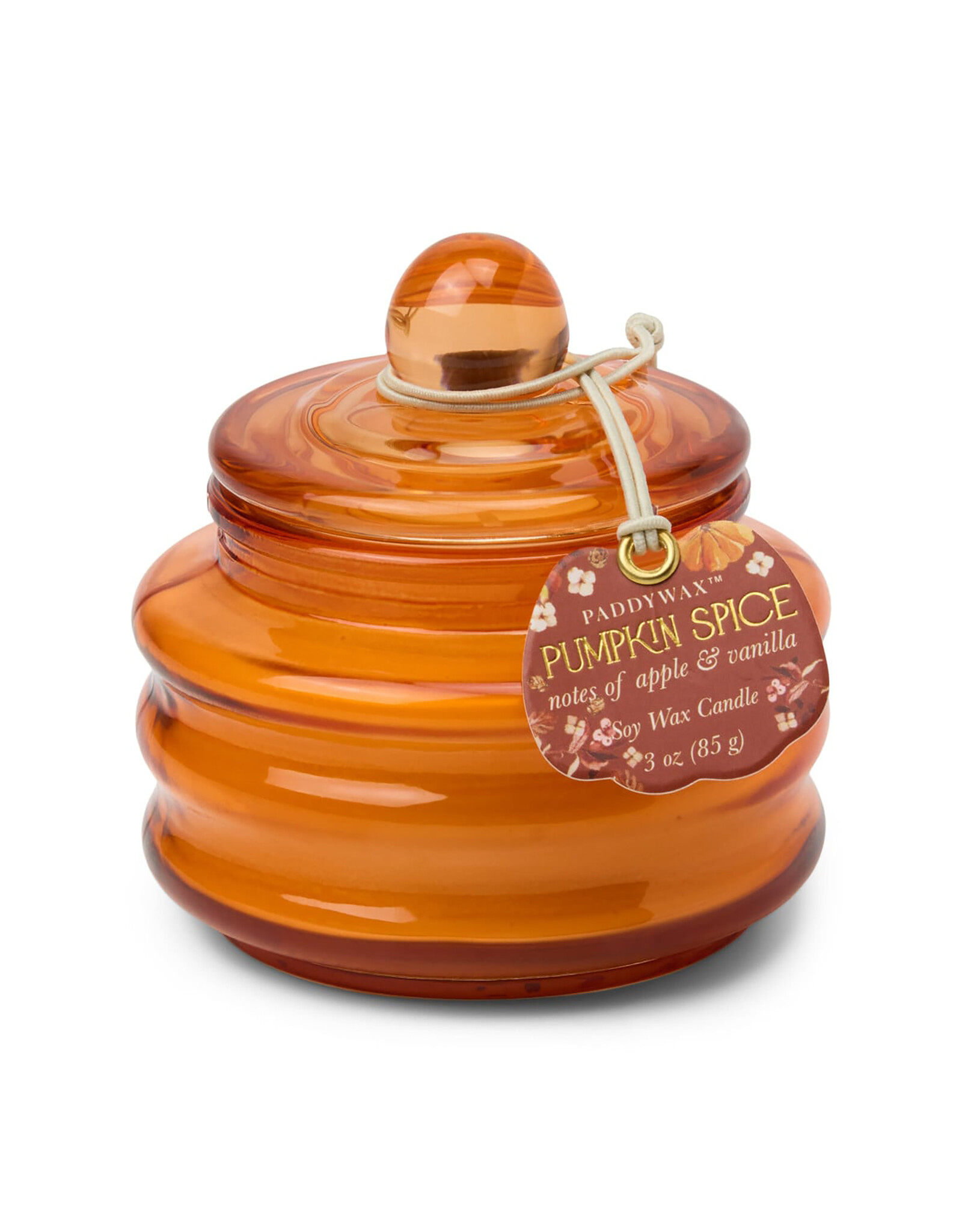 Paddywax Pumpkin Spice Beam 3oz Orange Glass Candle