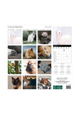 Allaluna Cats 2026 12x12 Wall Calendar