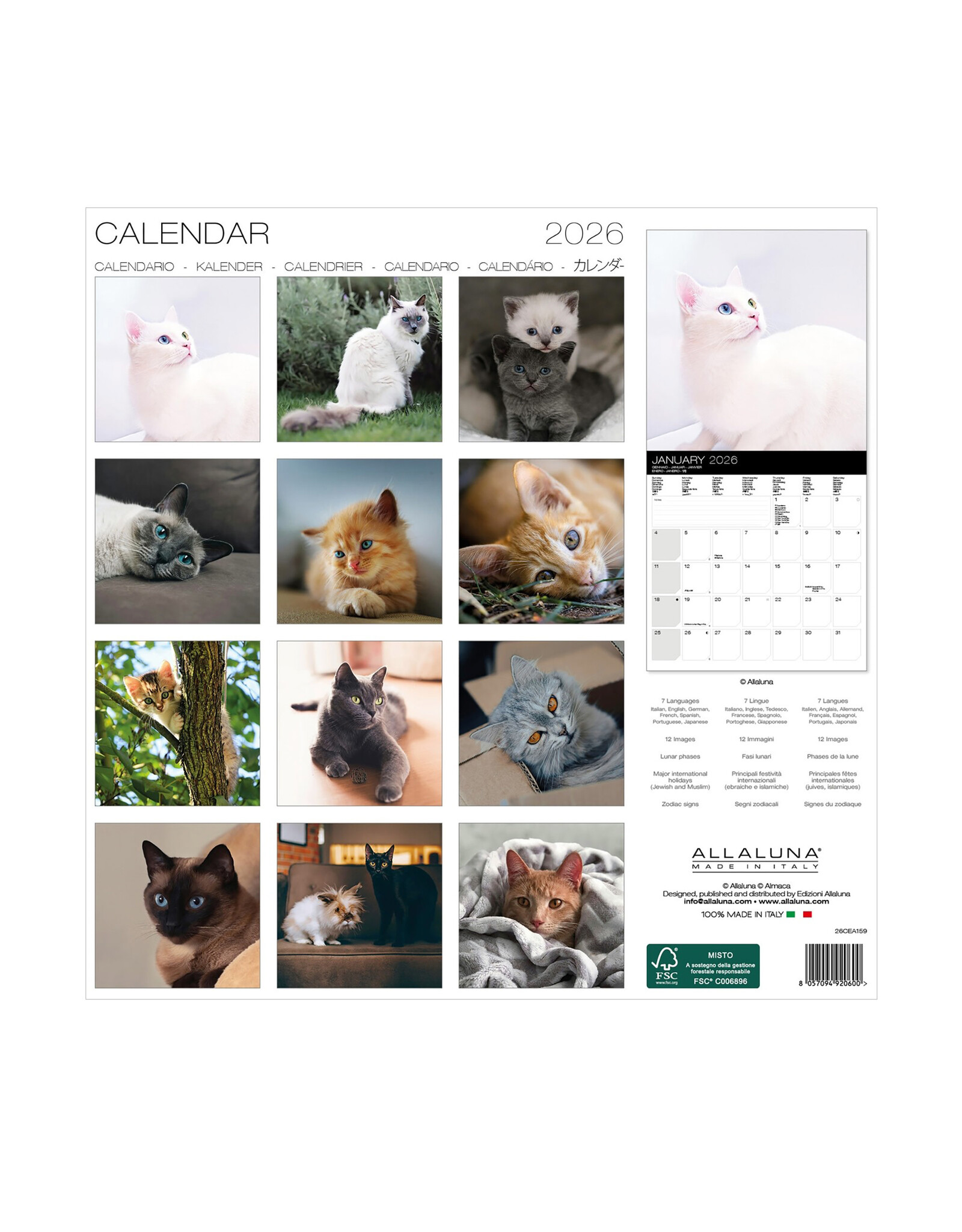Allaluna Cats 2026 12x12 Wall Calendar