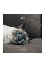 Allaluna Cats 2026 12x12 Wall Calendar