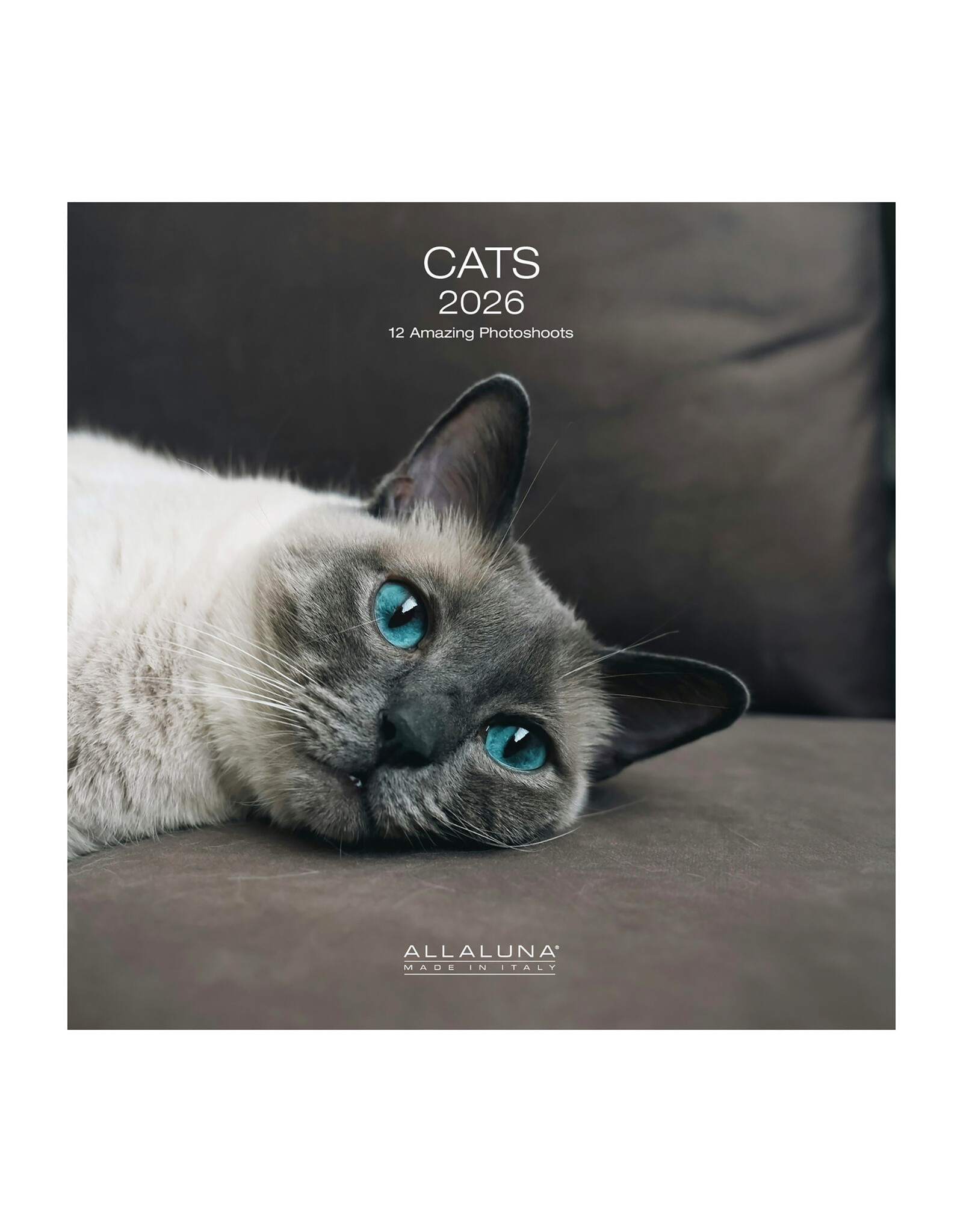 Allaluna Cats 2026 12x12 Wall Calendar