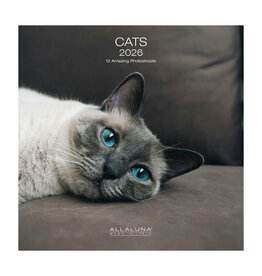 Allaluna Cats 2026 12x12 Wall Calendar