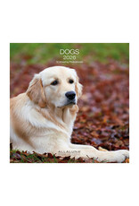 Allaluna Dogs 2026 12x12 Wall Calendar