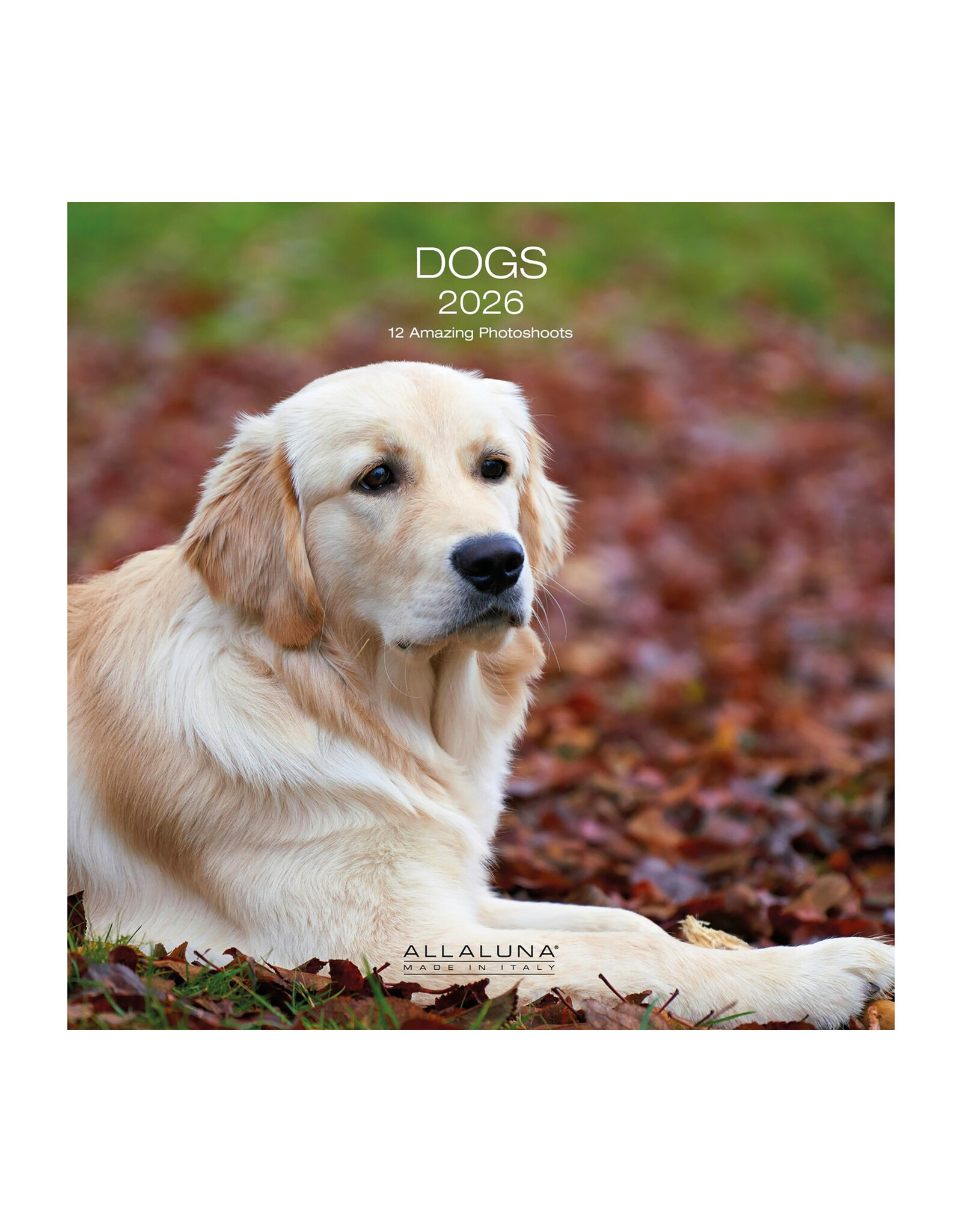 Allaluna Dogs 2026 12x12 Wall Calendar