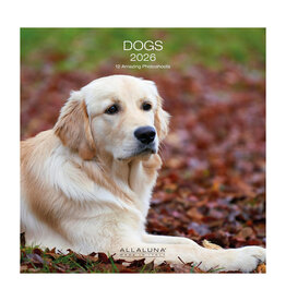Allaluna Dogs 2026 12x12 Wall Calendar