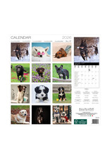 Allaluna Dogs 2026 12x12 Wall Calendar