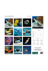 Allaluna Undersea World 2026 12x12 Wall Calendar