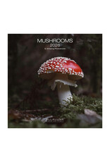 Allaluna Mushrooms 2026 12x12 Wall Calendar