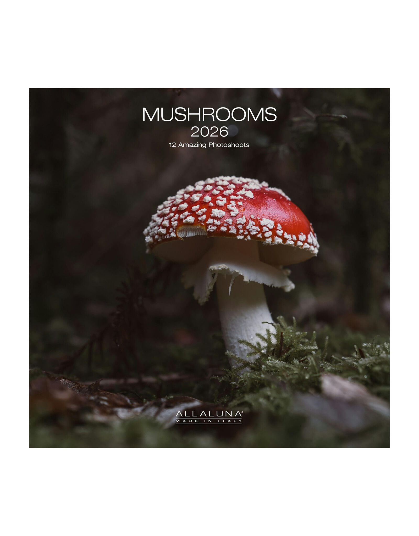 Allaluna Mushrooms 2026 12x12 Wall Calendar