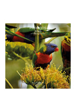 Allaluna Parrots 2026 12x12 Wall Calendar