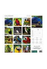 Allaluna Parrots 2026 12x12 Wall Calendar