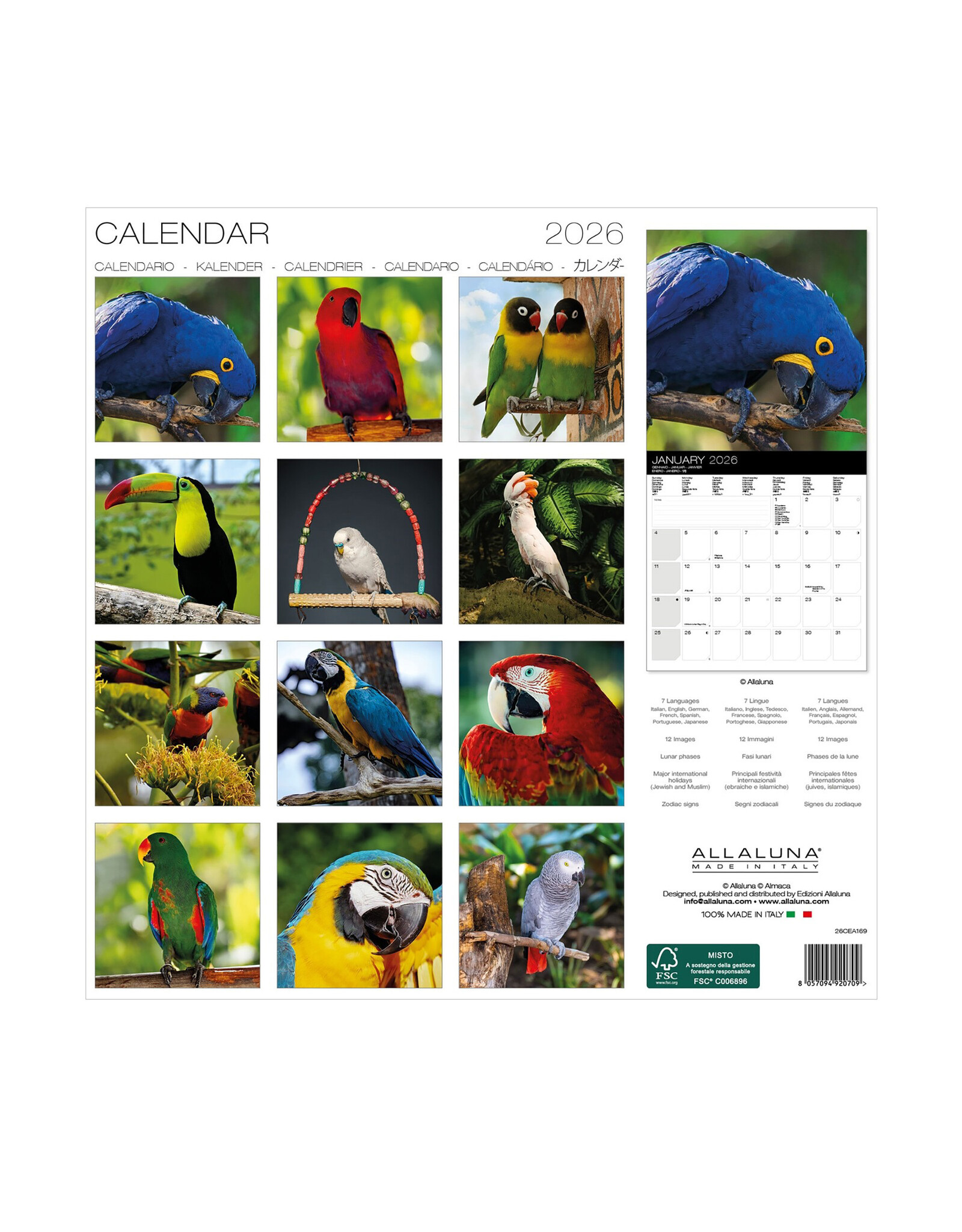 Allaluna Parrots 2026 12x12 Wall Calendar