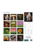 Allaluna Mushrooms 2026 12x12 Wall Calendar