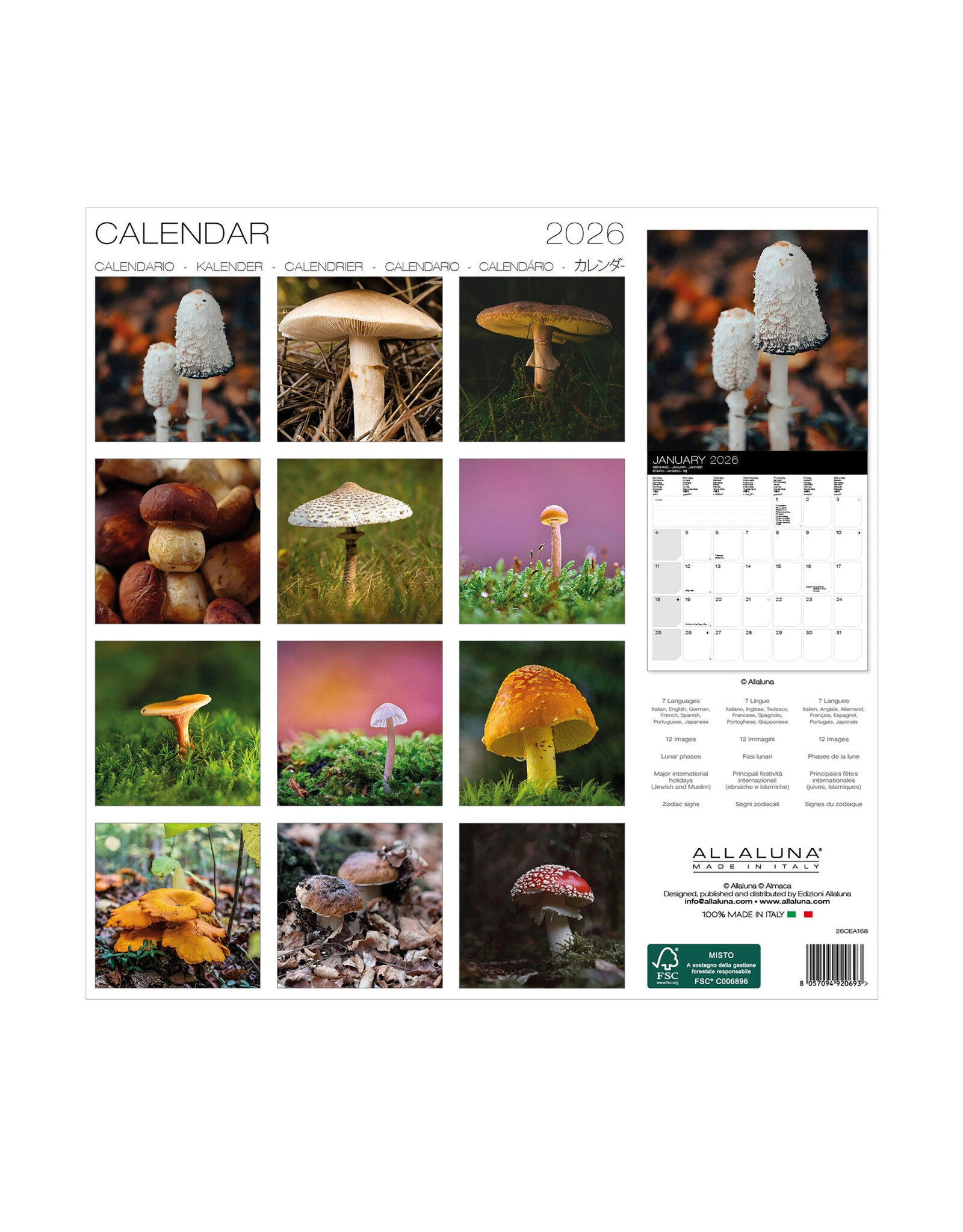 Allaluna Mushrooms 2026 12x12 Wall Calendar