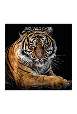 Allaluna Big Wild Cats 2026 12x12 Wall Calendar