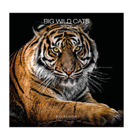 Allaluna Big Wild Cats 2026 12x12 Wall Calendar