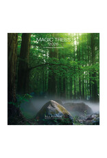 Allaluna Magic Trees 2026 12x12 Wall Calendar