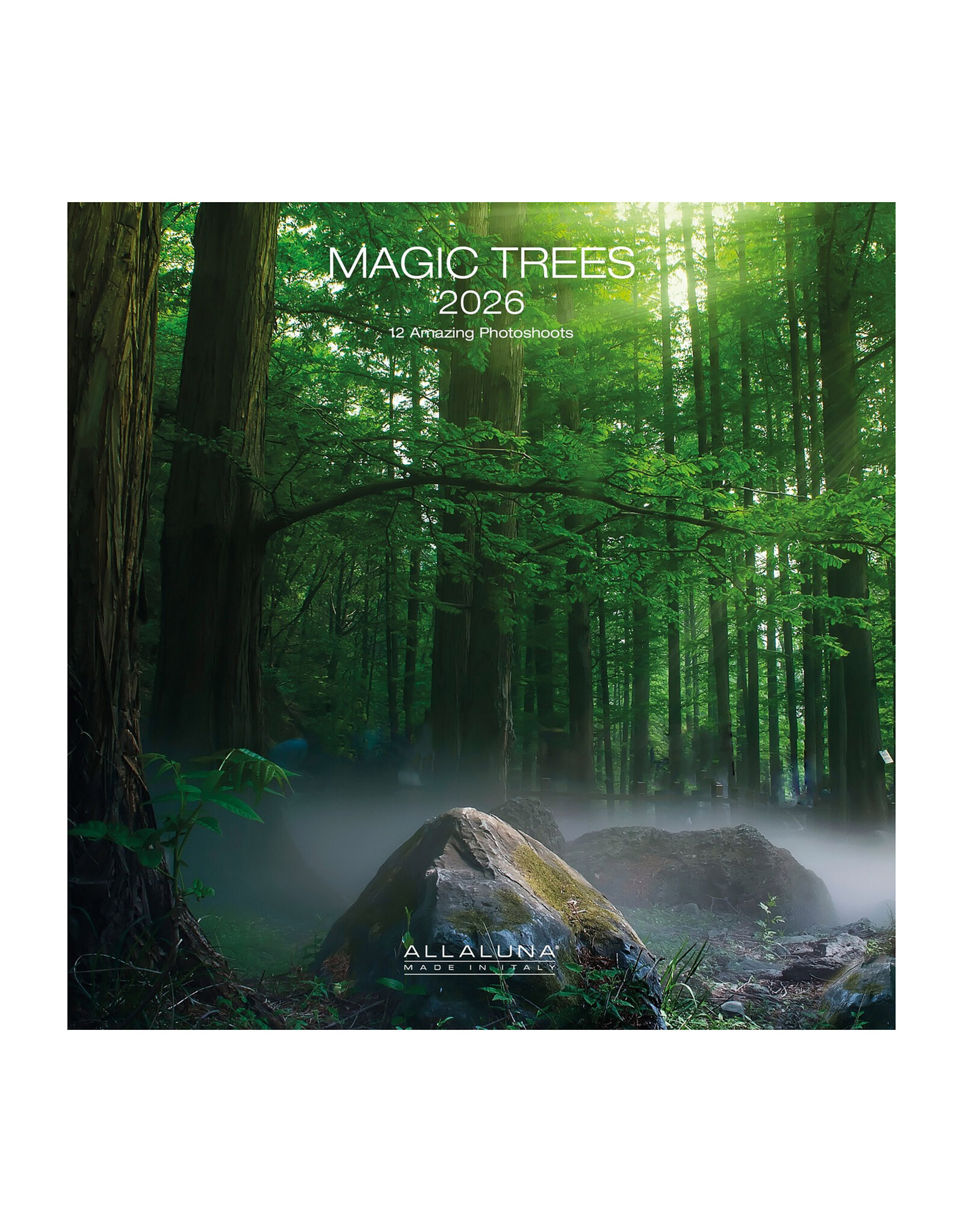 Allaluna Magic Trees 2026 12x12 Wall Calendar