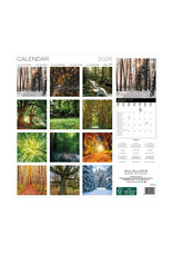 Allaluna Magic Trees 2026 12x12 Wall Calendar