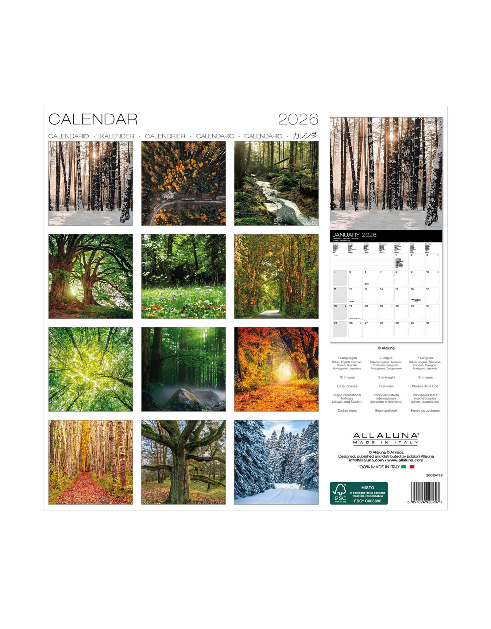 Allaluna Magic Trees 2026 12x12 Wall Calendar
