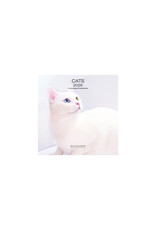 Allaluna Cats 2026 7x7 Small Wall Calendar