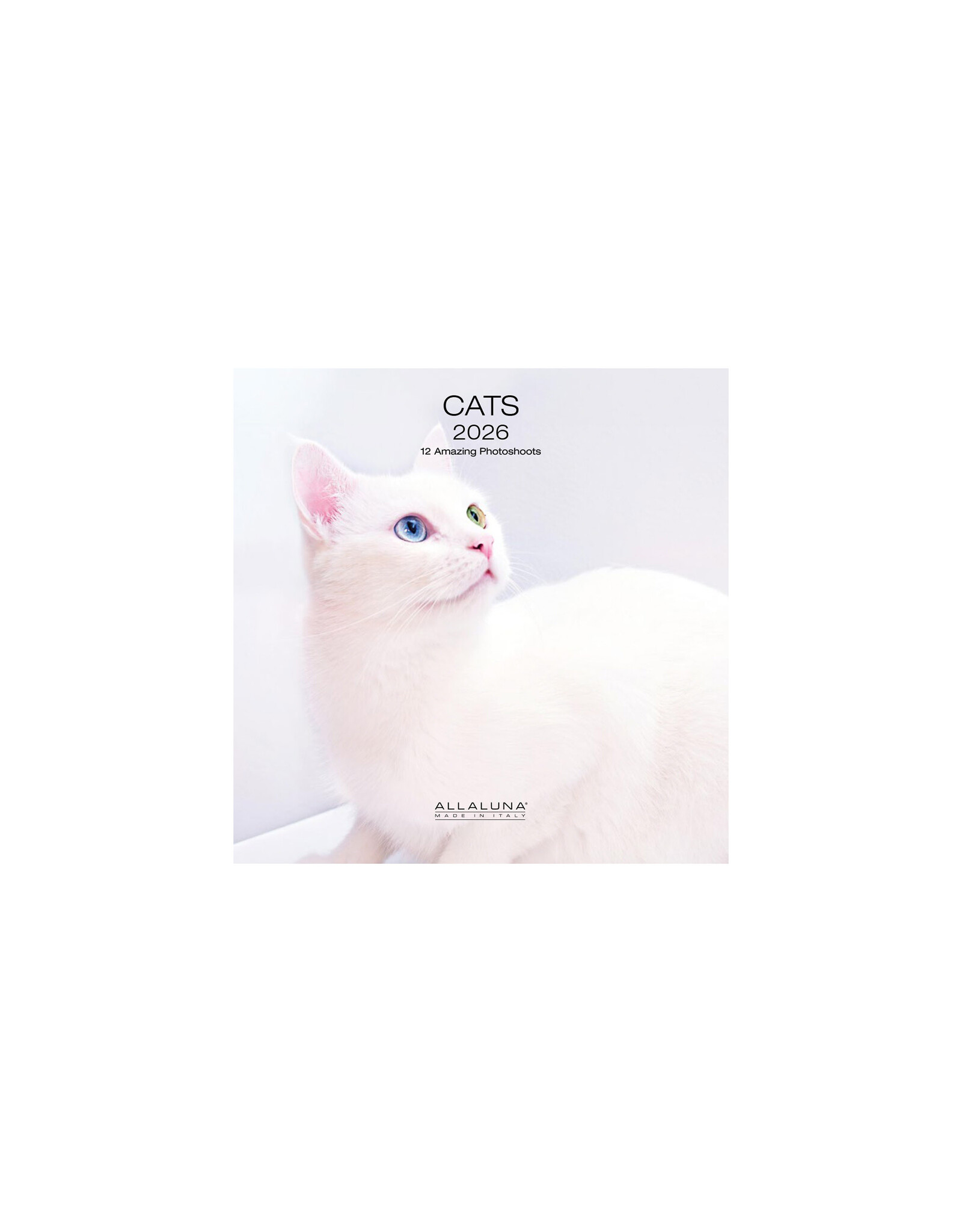Allaluna Cats 2026 7x7 Small Wall Calendar