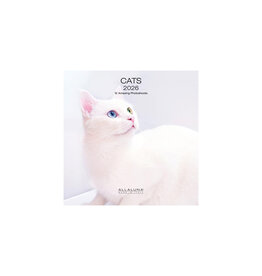 Allaluna Cats 2026 7x7 Small Wall Calendar