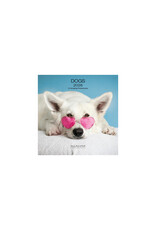 Allaluna Dogs 2026 7x7 Small Wall Calendar