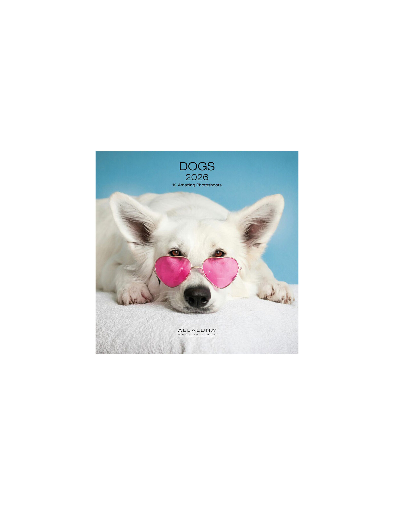 Allaluna Dogs 2026 7x7 Small Wall Calendar