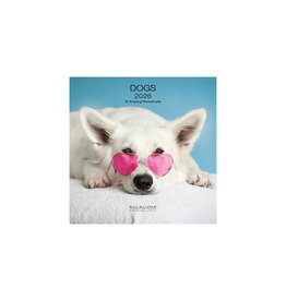 Allaluna Dogs 2026 7x7 Small Wall Calendar