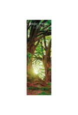 Allaluna Magic Trees 2026 6.3x19.3 Long Wall Calendar
