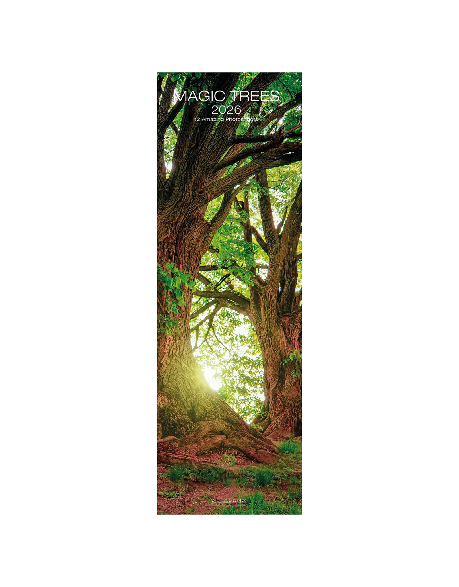 Allaluna Magic Trees 2026 6.3x19.3 Long Wall Calendar