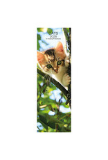 Allaluna Cats 2026 6.3x19.3 Long Wall Calendar