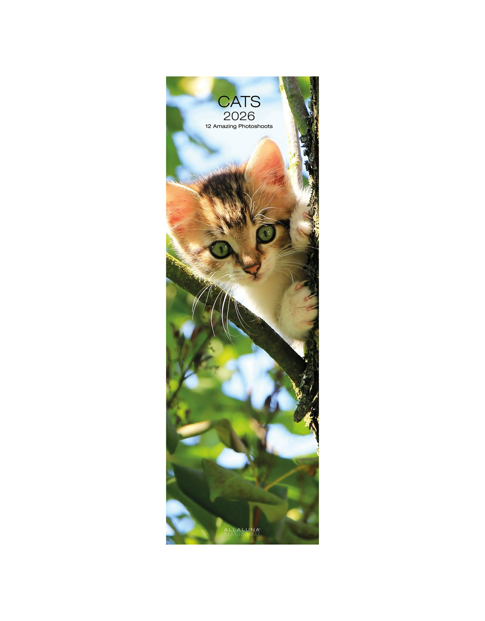 Allaluna Cats 2026 6.3x19.3 Long Wall Calendar