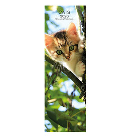 Allaluna Cats 2026 6.3x19.3 Long Wall Calendar