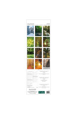 Allaluna Magic Trees 2026 6.3x19.3 Long Wall Calendar