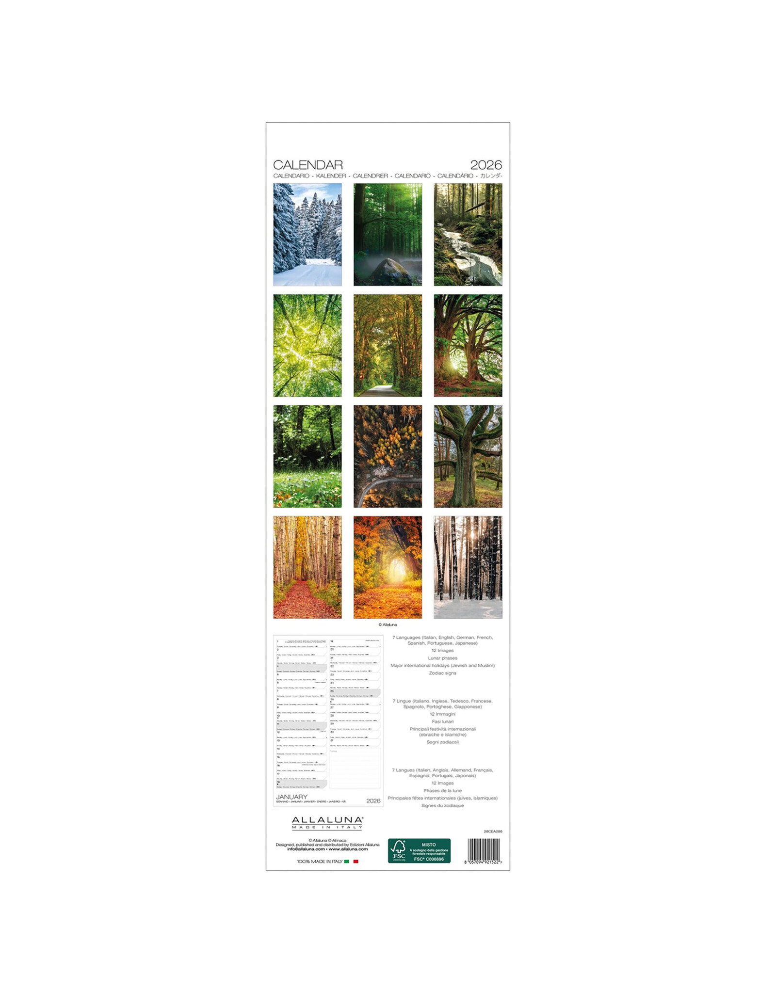 Allaluna Magic Trees 2026 6.3x19.3 Long Wall Calendar