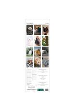 Allaluna Cats 2026 6.3x19.3 Long Wall Calendar