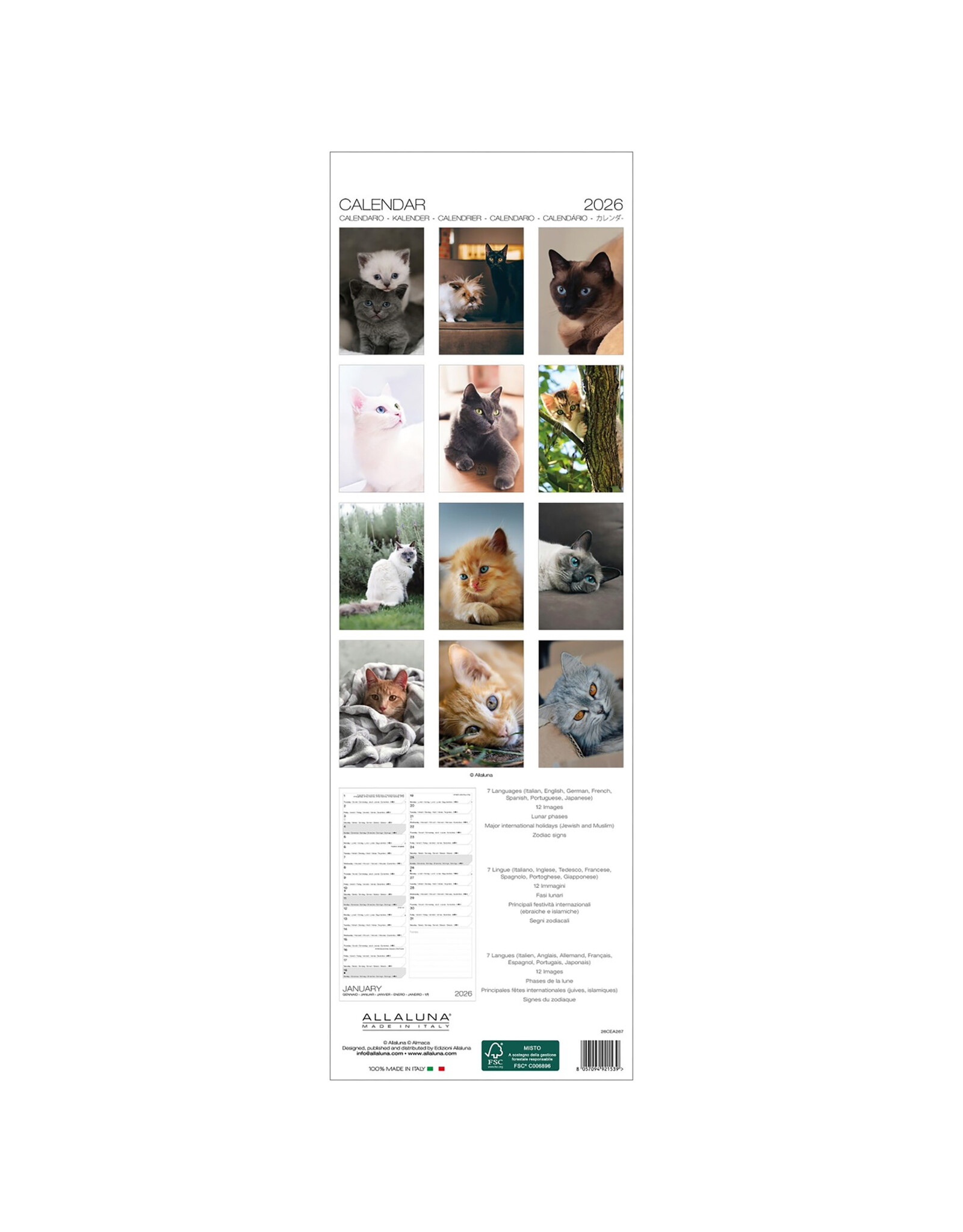 Allaluna Cats 2026 6.3x19.3 Long Wall Calendar