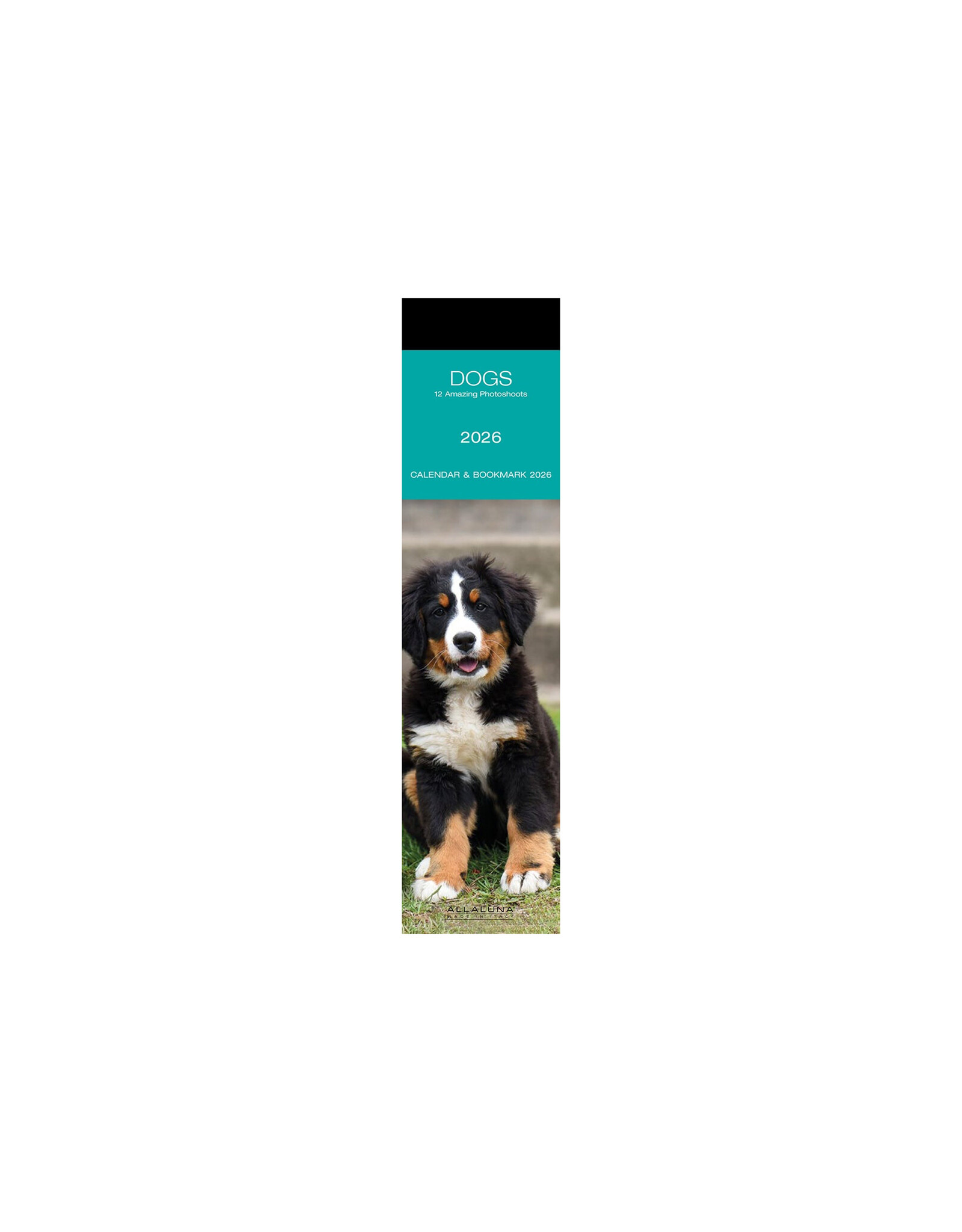 Allaluna Dogs 2026 Bookmark Calendar